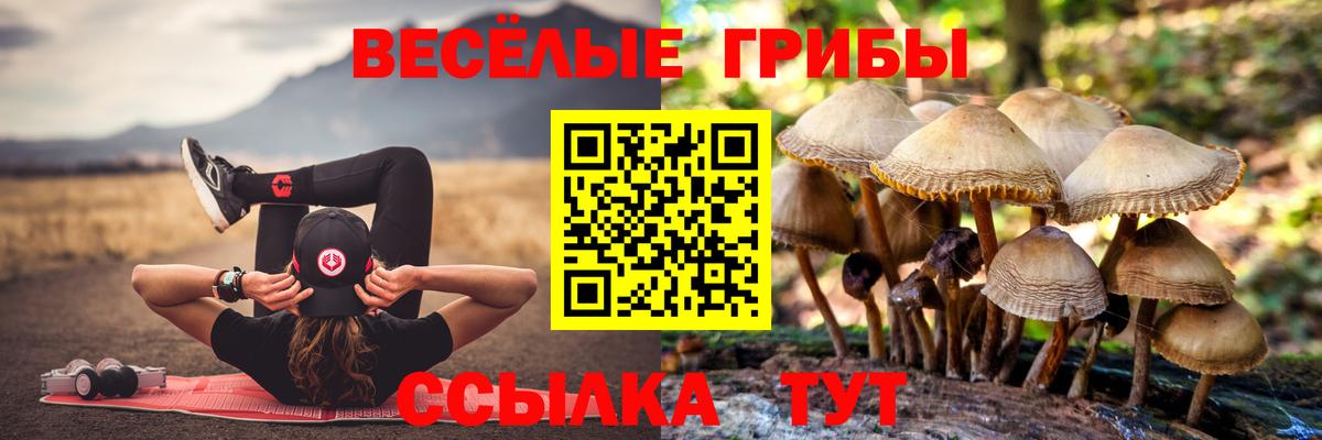 Галлюциногенные грибы GOLDEN TEACHER  Вход с VPN  Соль-Илецк 
